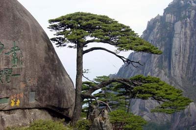 huangshan1.jpg